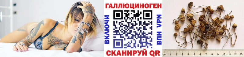 Галлюциногенные грибы мицелий  купить закладку  Майкоп 